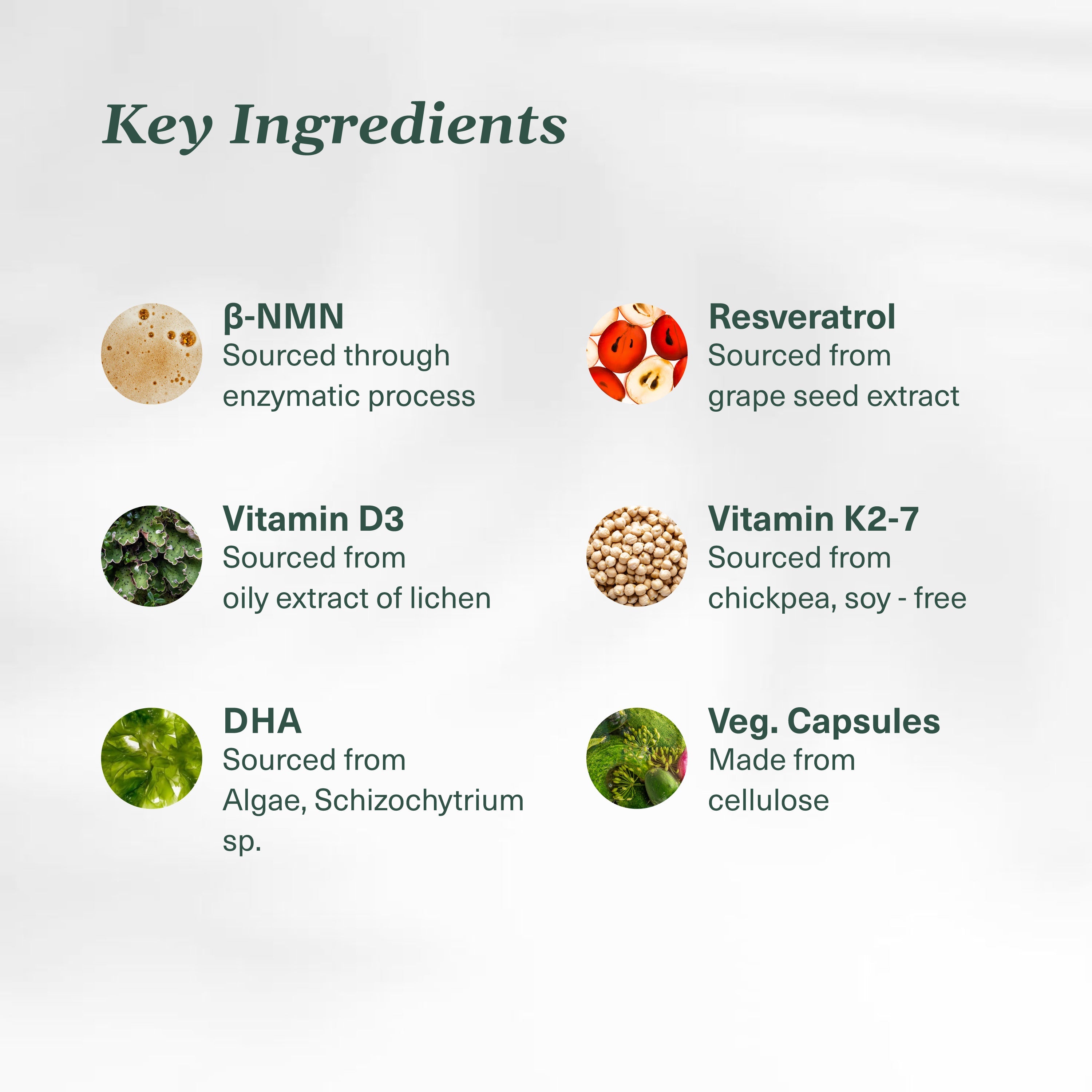VaraSpan - NMN & Resveratrol Supplement