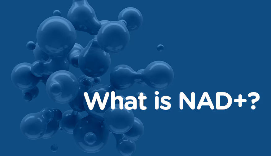 The Secrets of NAD+: What is it and why is it important? 