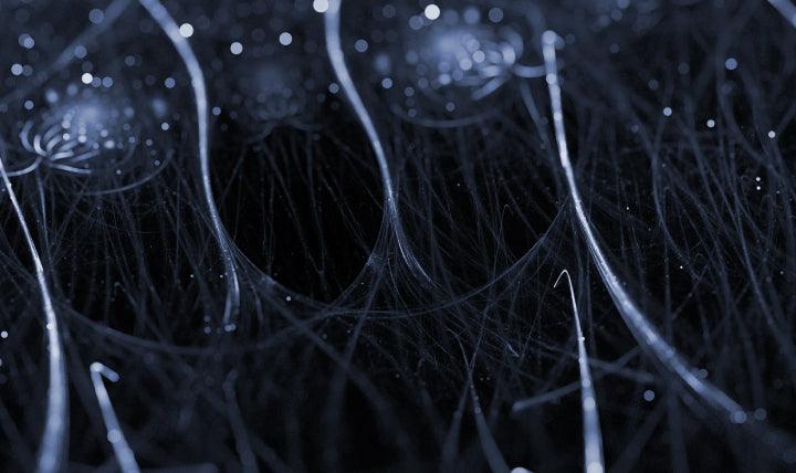 Cellular Reprogramming: Unleashing the Potential of Youthful Aging - Varalife®