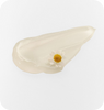 Chamomile Extract