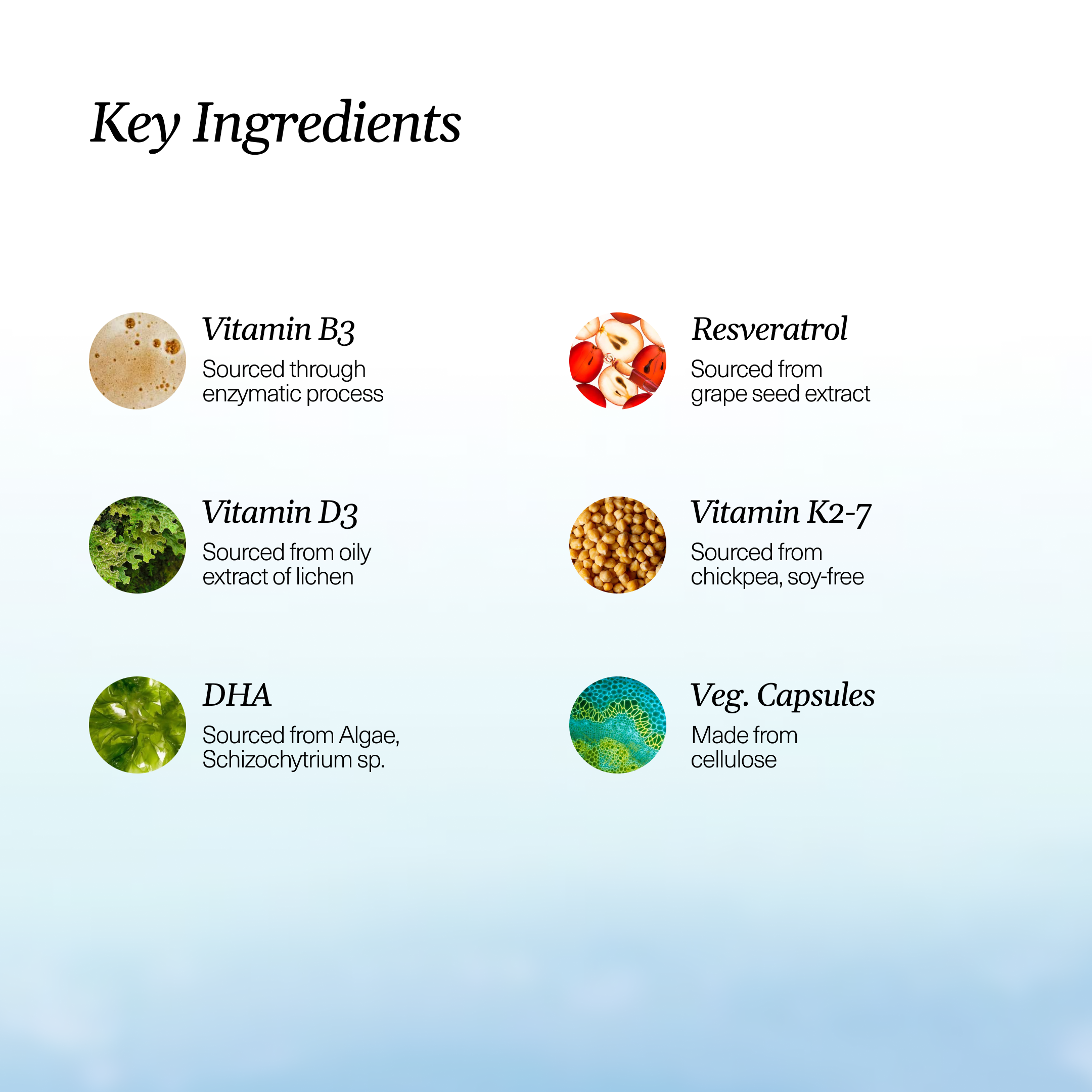 VaraSpan - Supplement for Energy & Vitality